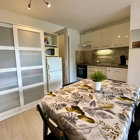 Les Caravelles Port Camargue 아파트 르그로뒤후아